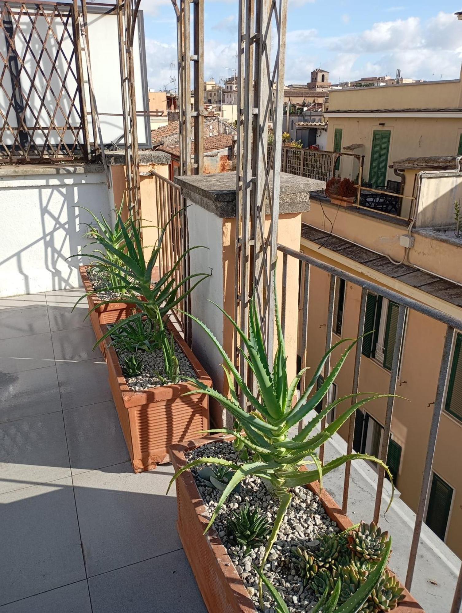 Colosseum Exclusive Duplex Rzym Zewnętrze zdjęcie